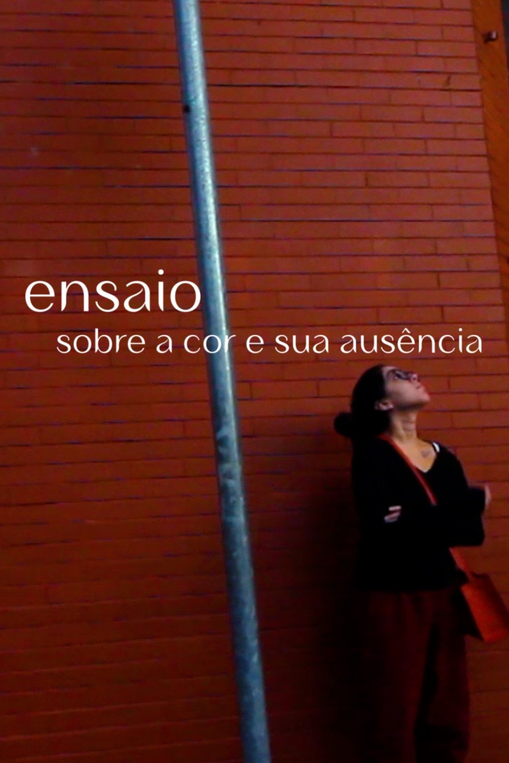 Poster de Ensaio sobre a cor e sua ausência