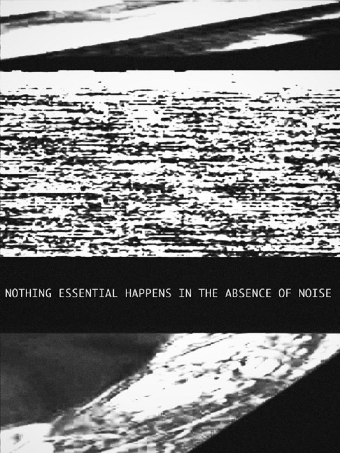Poster de Nothing Essential Happens in the Absence of Noise