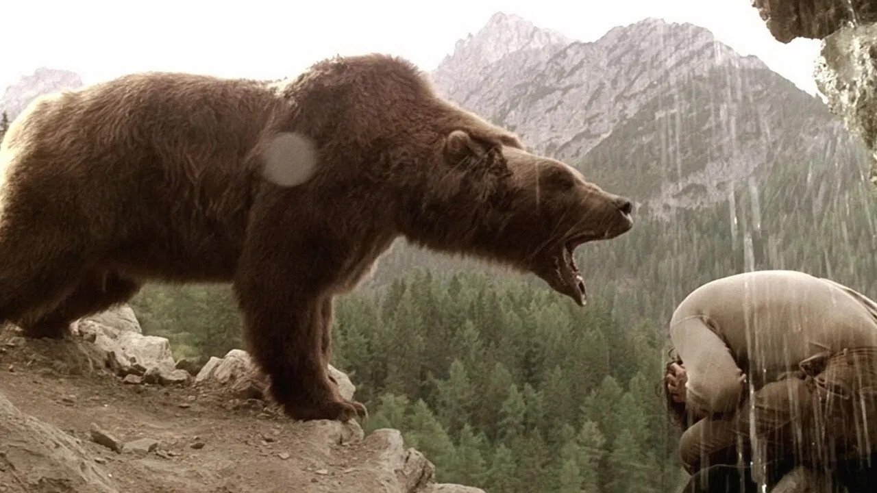 The Bear 1988 123movies