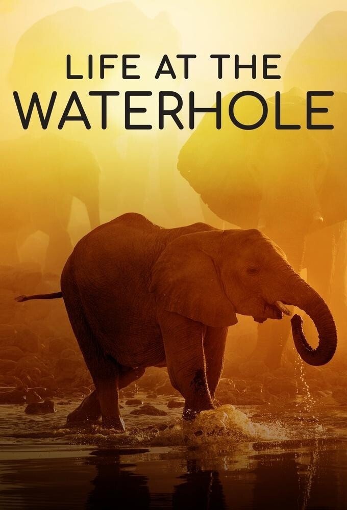 Poster de Life at the Waterhole