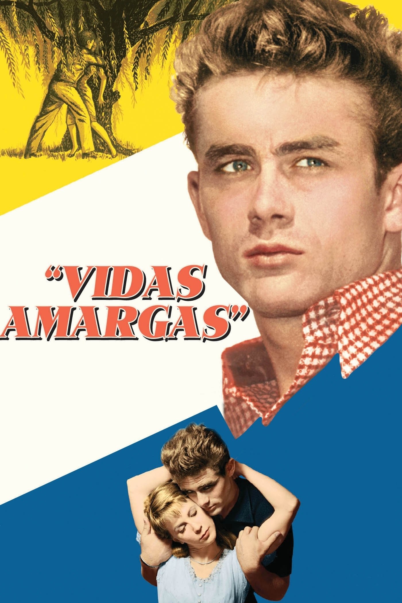 Poster de Vidas Amargas