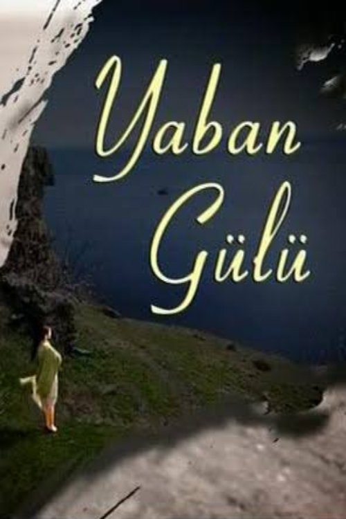 Poster de Yaban Gülü