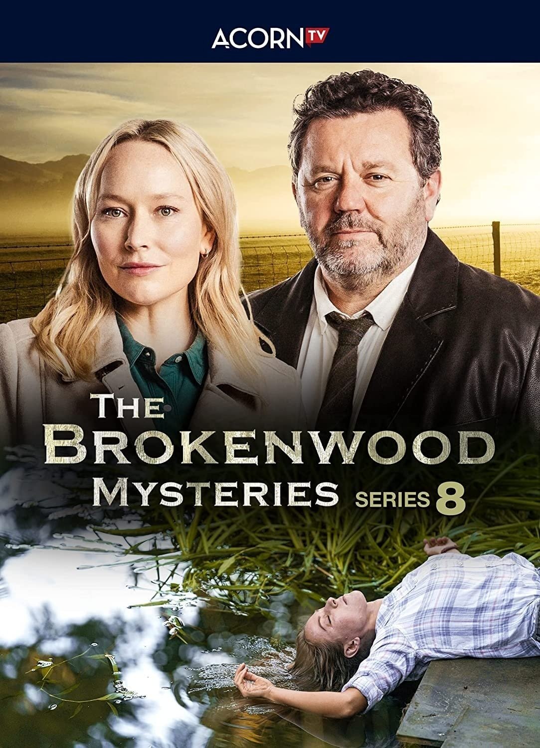 Poster de Temporada 8