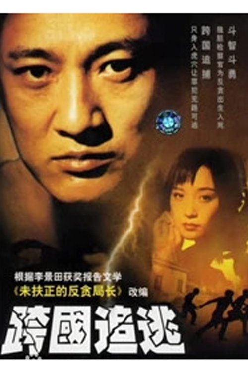Poster de 跨国追逃