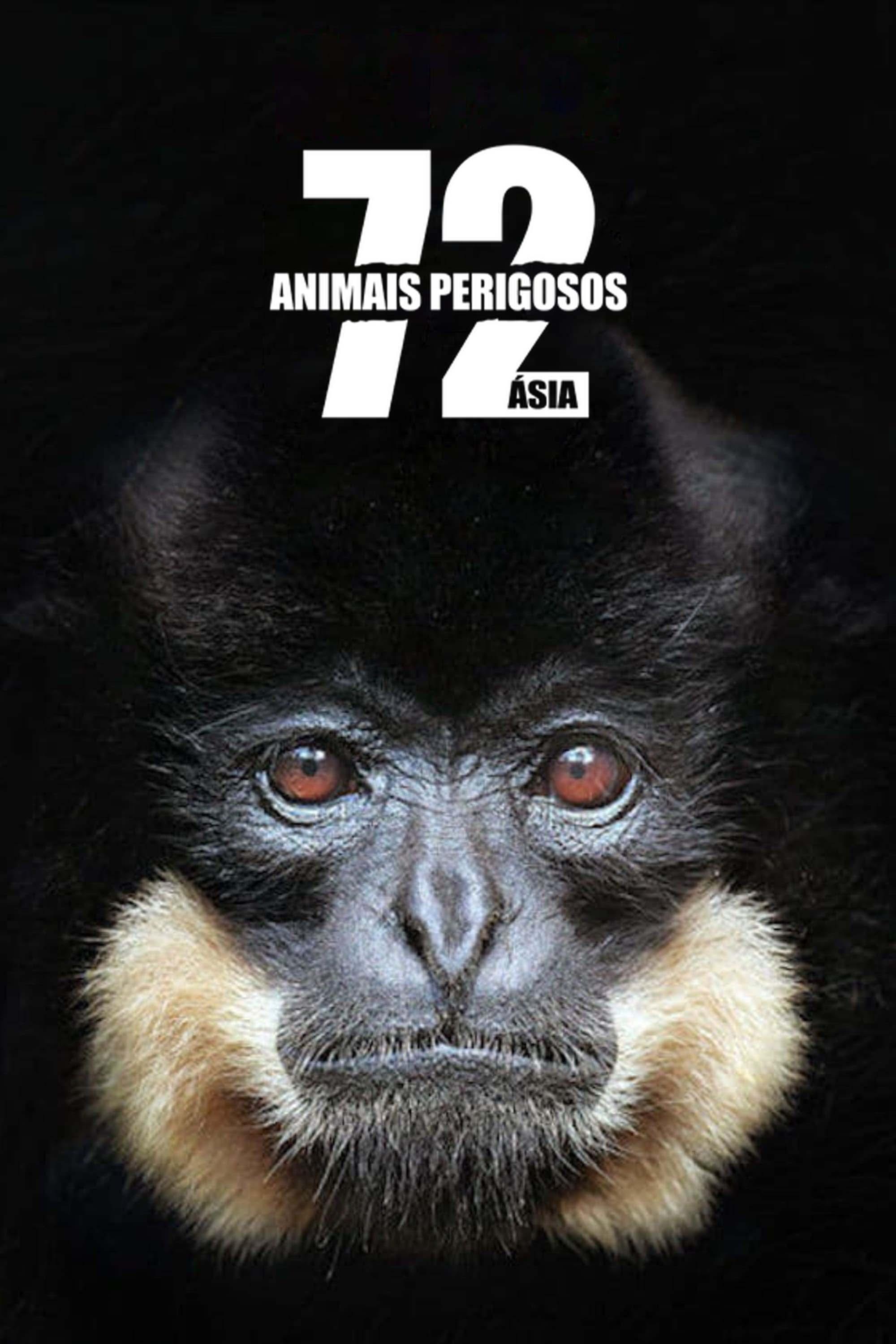 Poster de 72 Animais Perigosos: Ásia