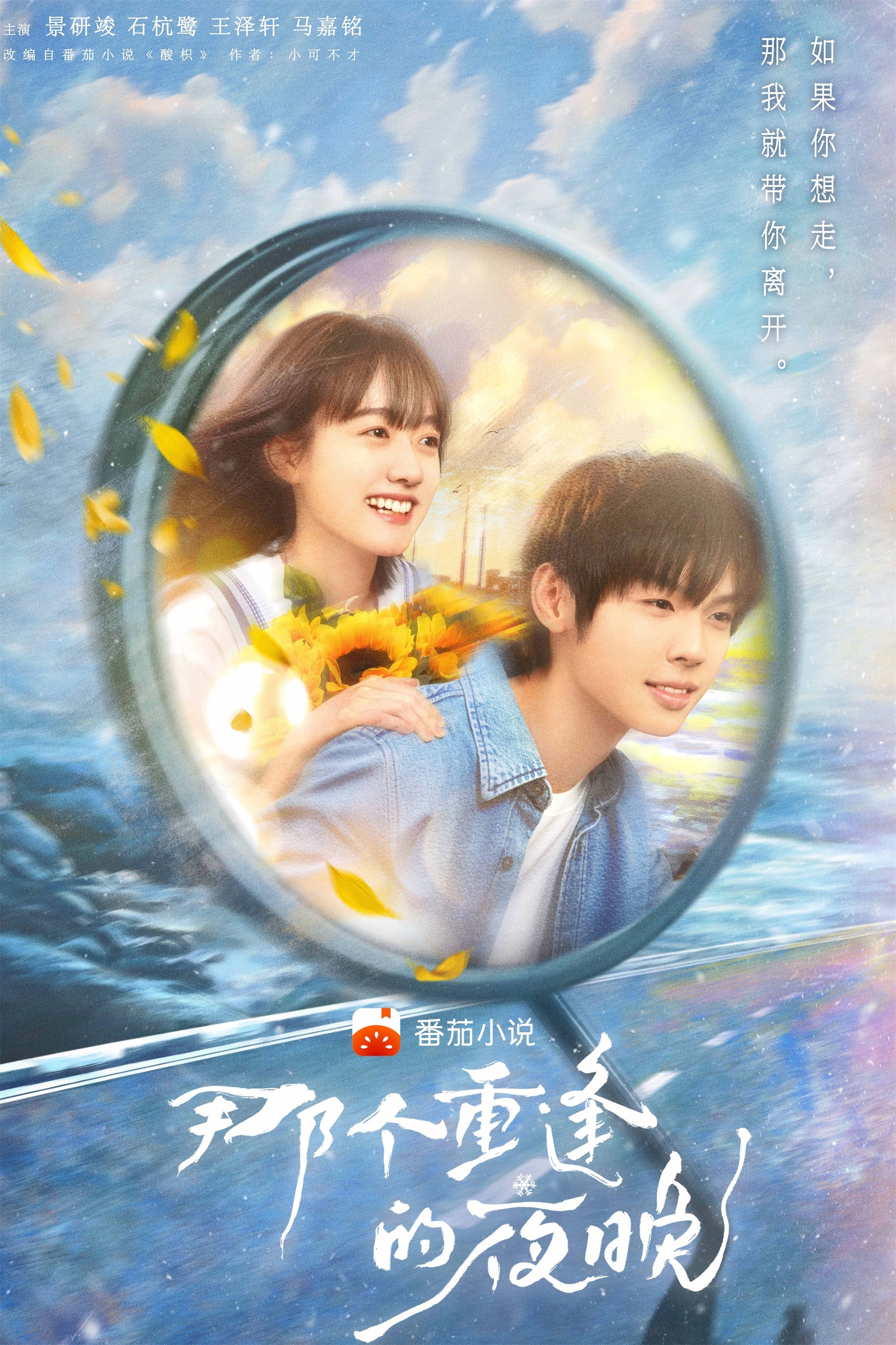 Poster de 那个重逢的夜晚