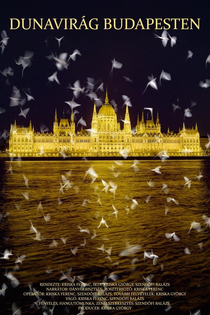 Poster de Dunavirág Budapesten