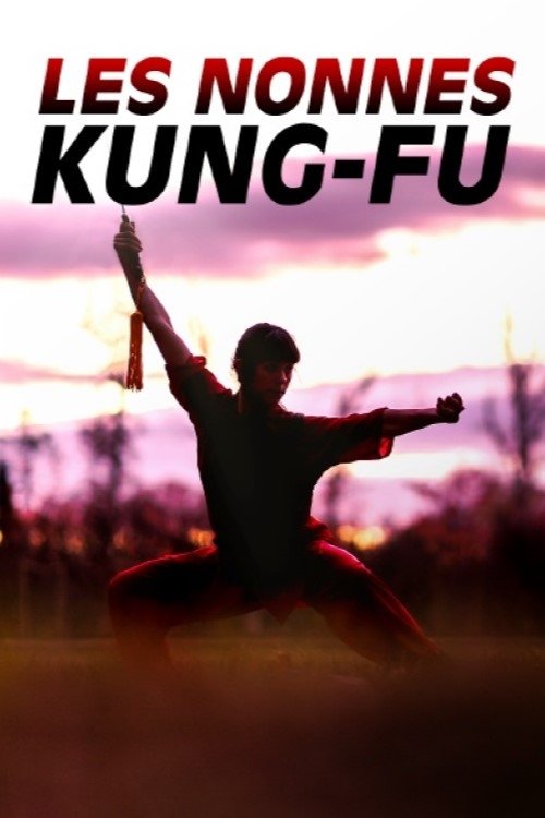 Poster de Les nonnes kung-fu : bouddhistes et féministes