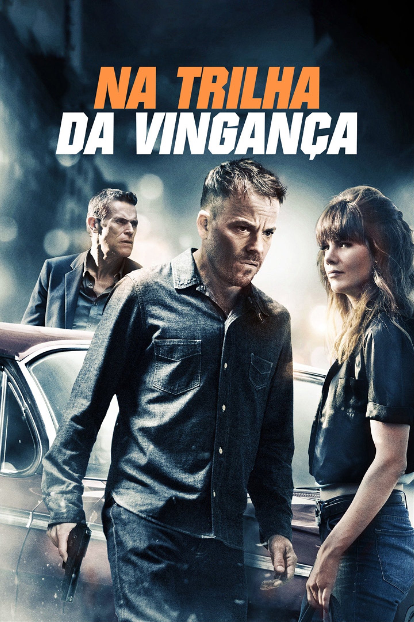 Poster de Na Trilha da Vingança