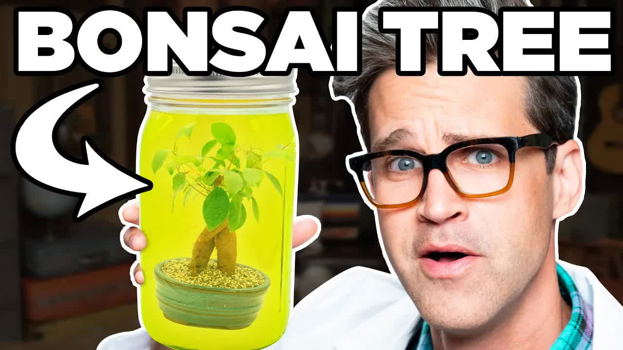 Leaving Things In A Margarita For A Month (EXPERIMENT)