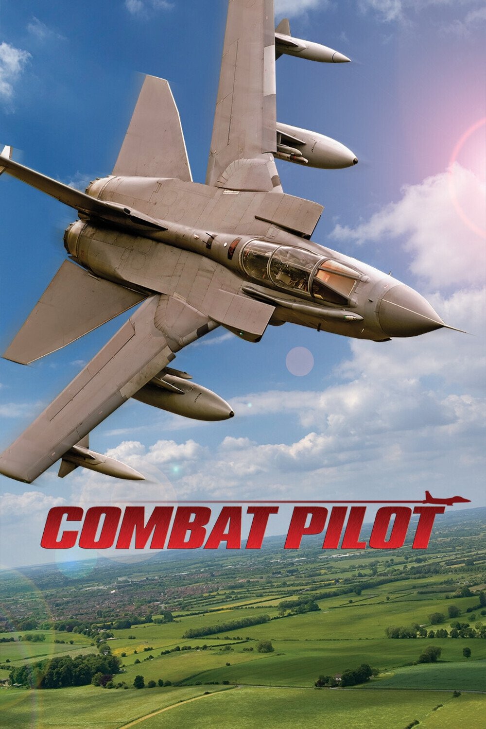 Poster de Combat Pilot