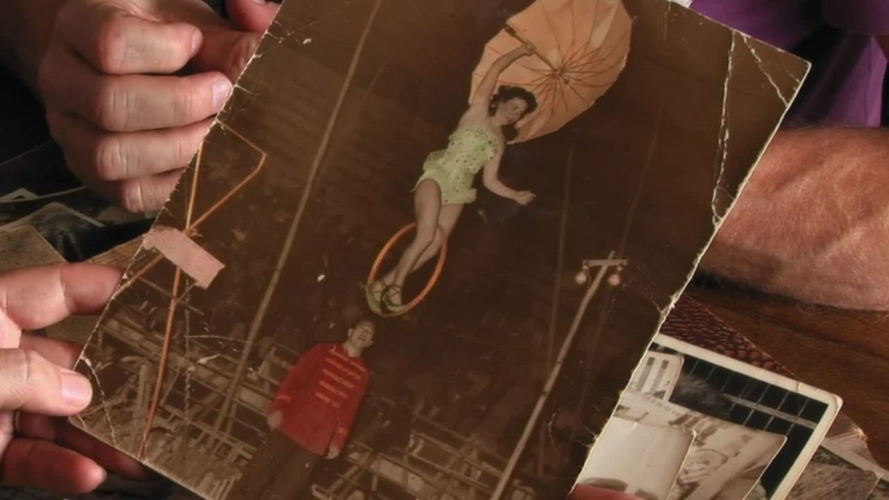 Cirquera