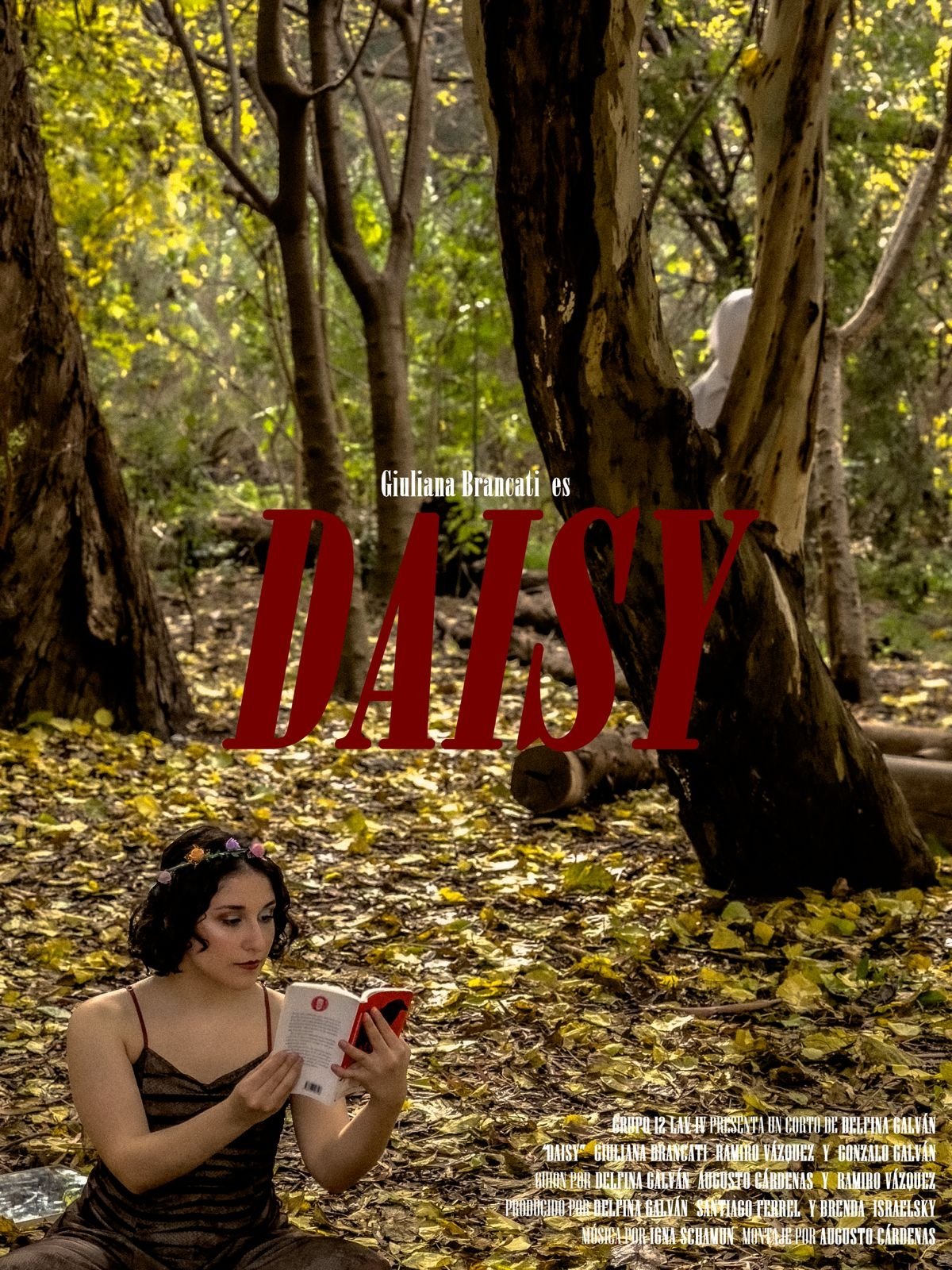 Poster de DAISY