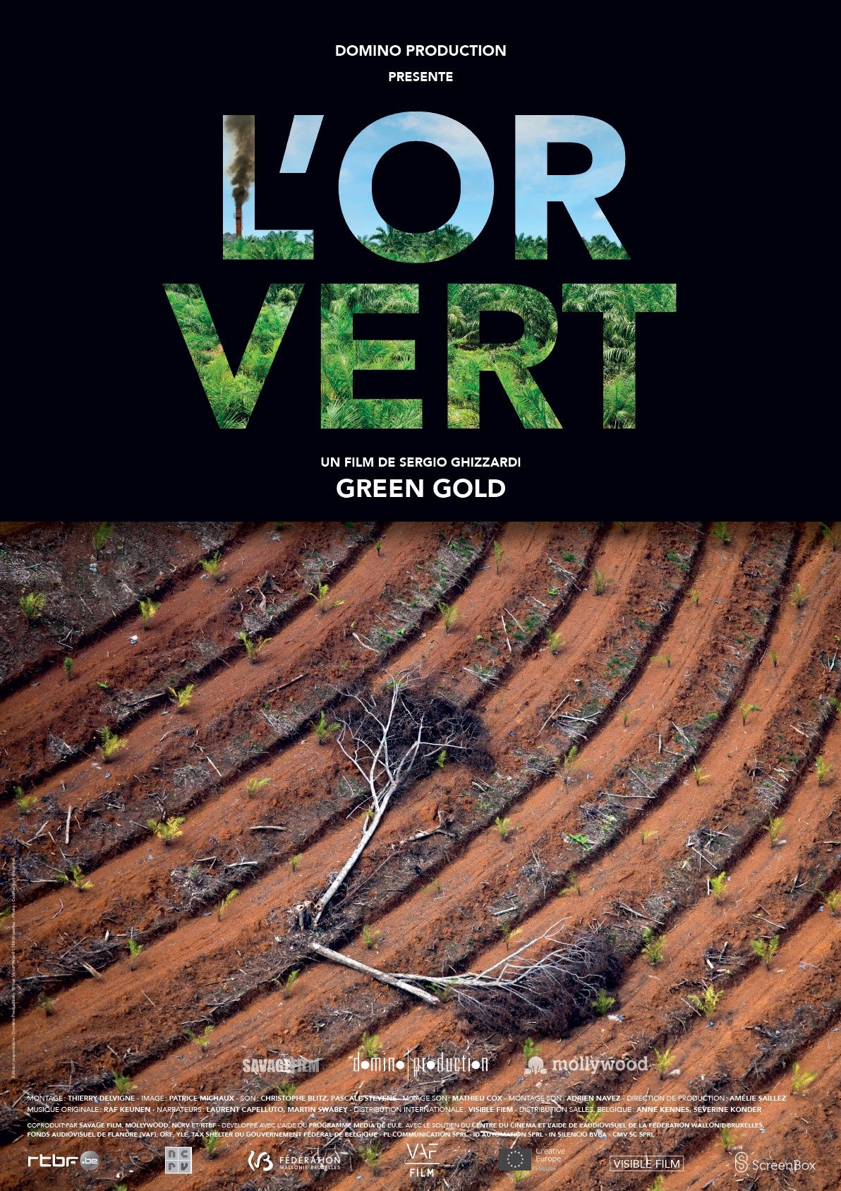 Poster de L'or Vert