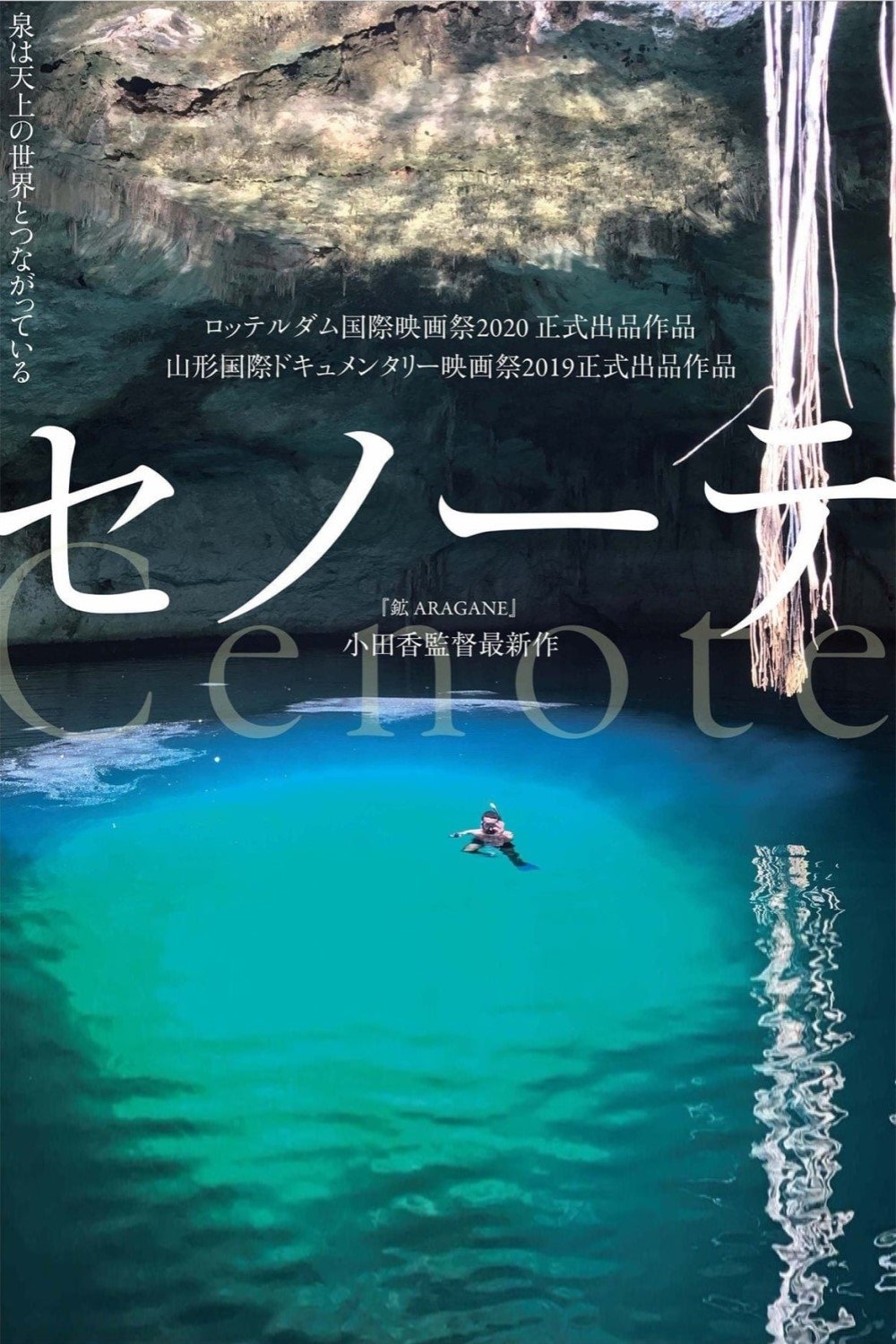 Poster de セノーテ