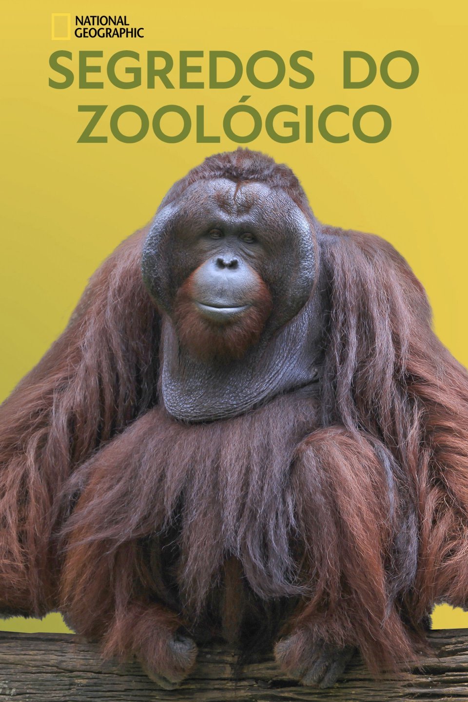 Poster de Temporada 3
