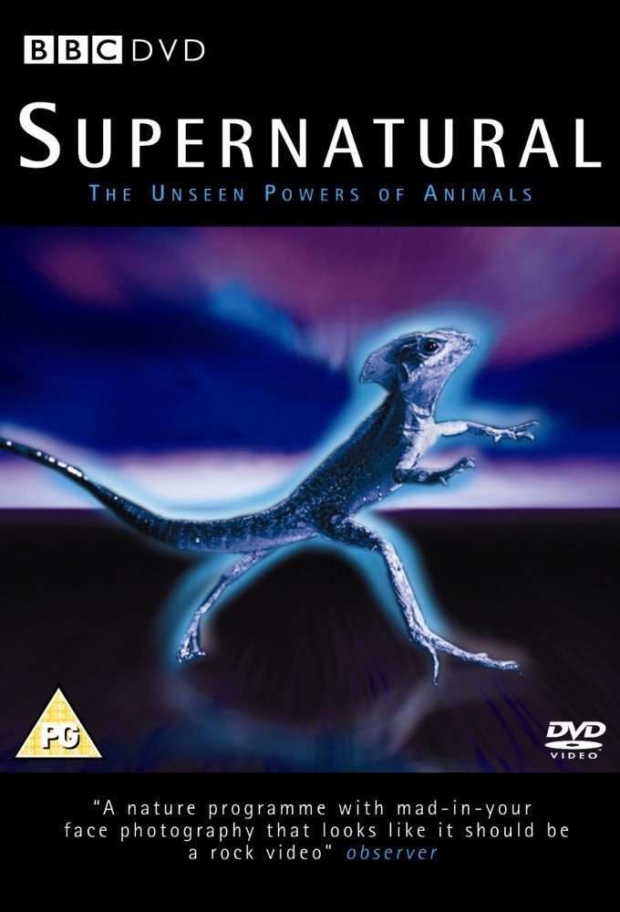 Poster de Supernatural: Unseen Power of Animals