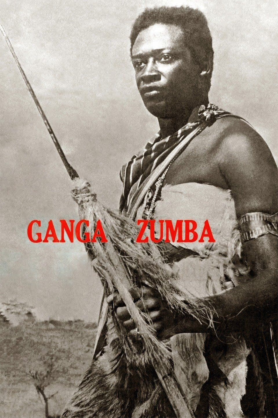 Poster de Ganga Zumba