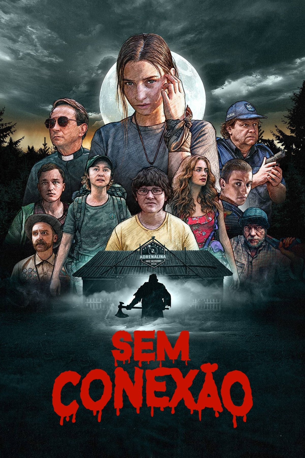 Poster de Sem Conexão