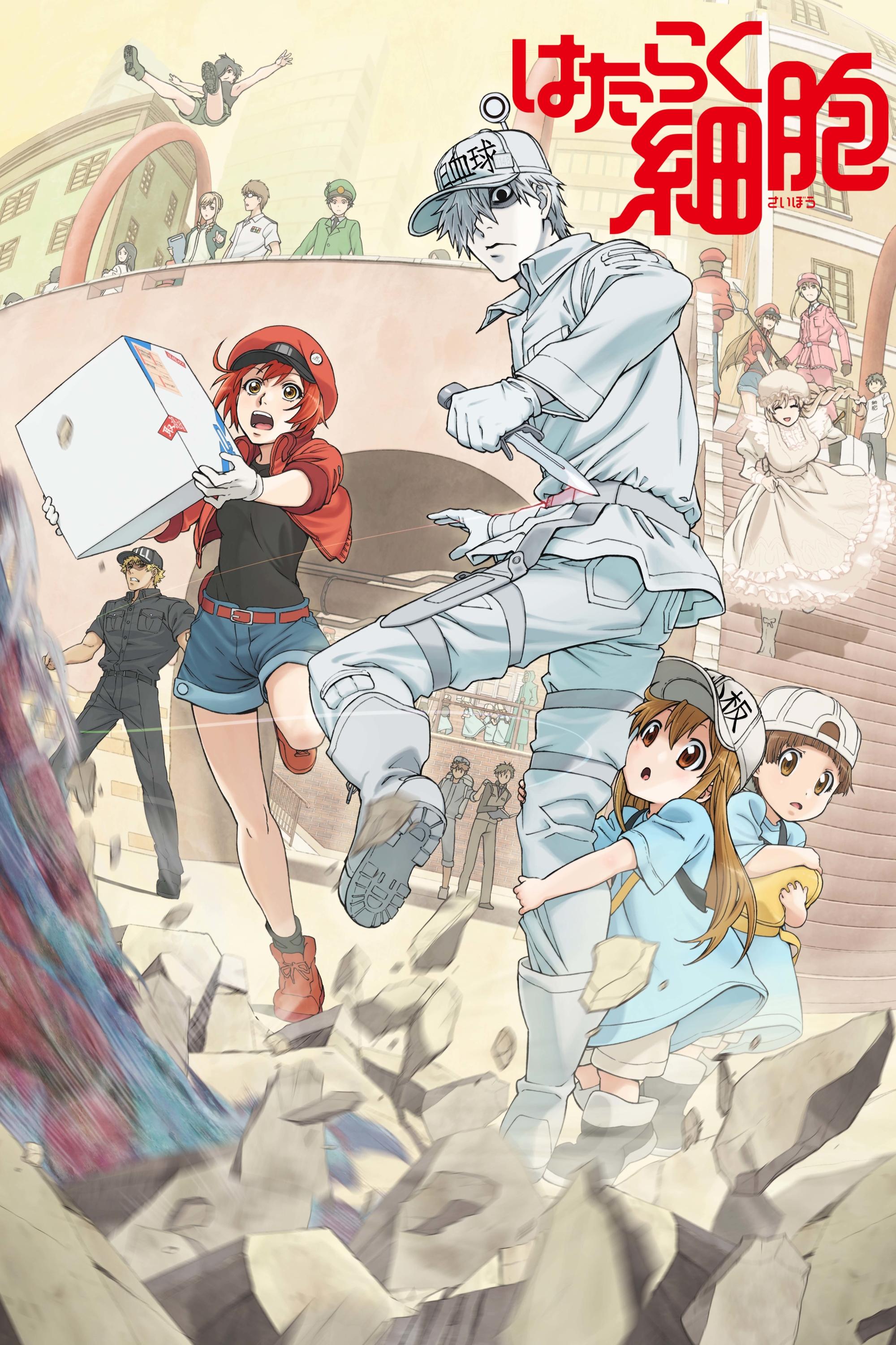 Poster de Hataraku Saibou