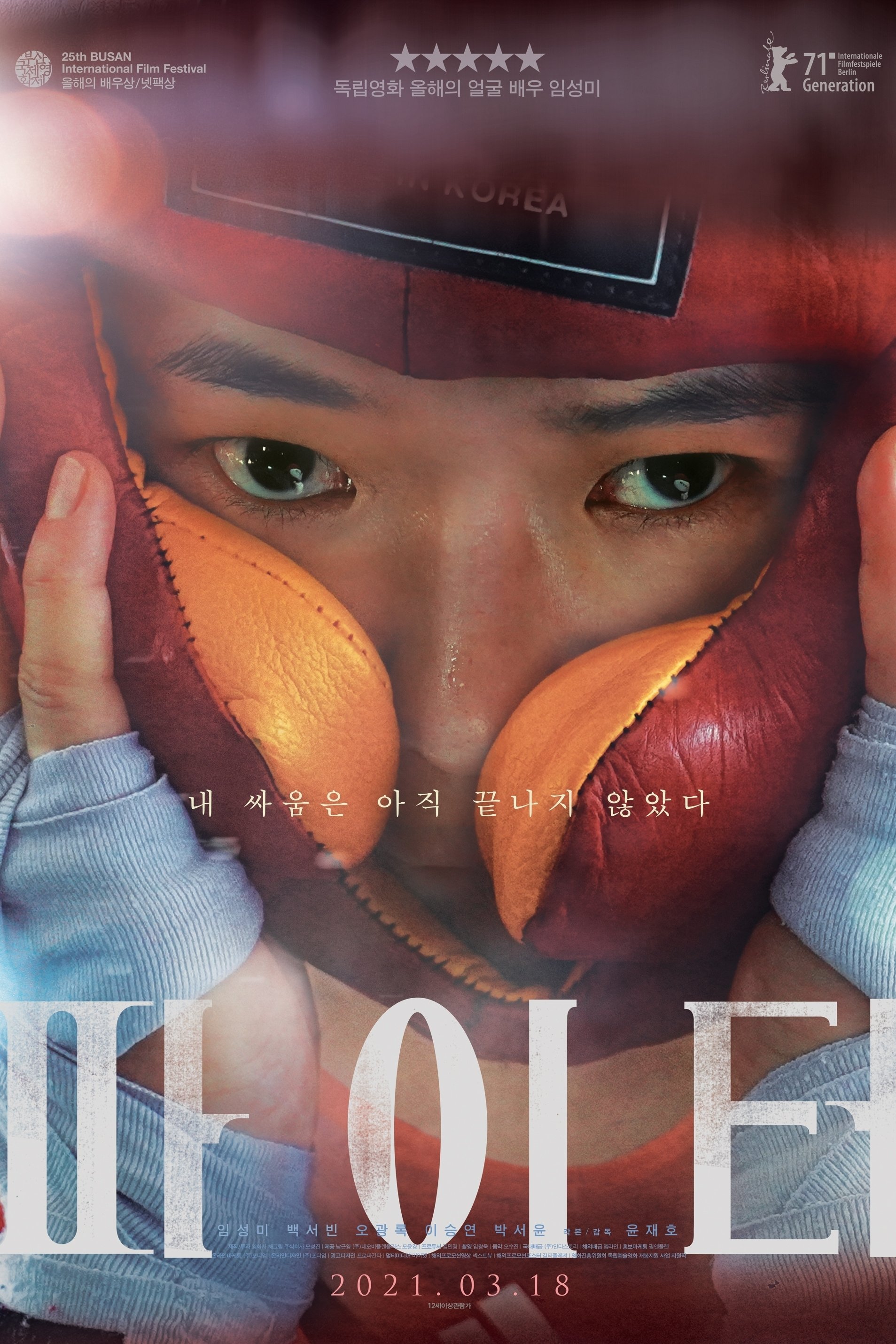 Poster de 파이터