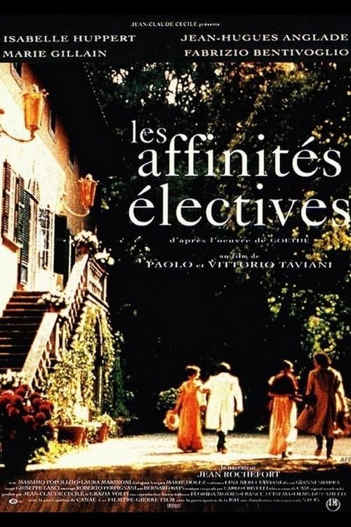 Poster de As Afinidades Efetivas