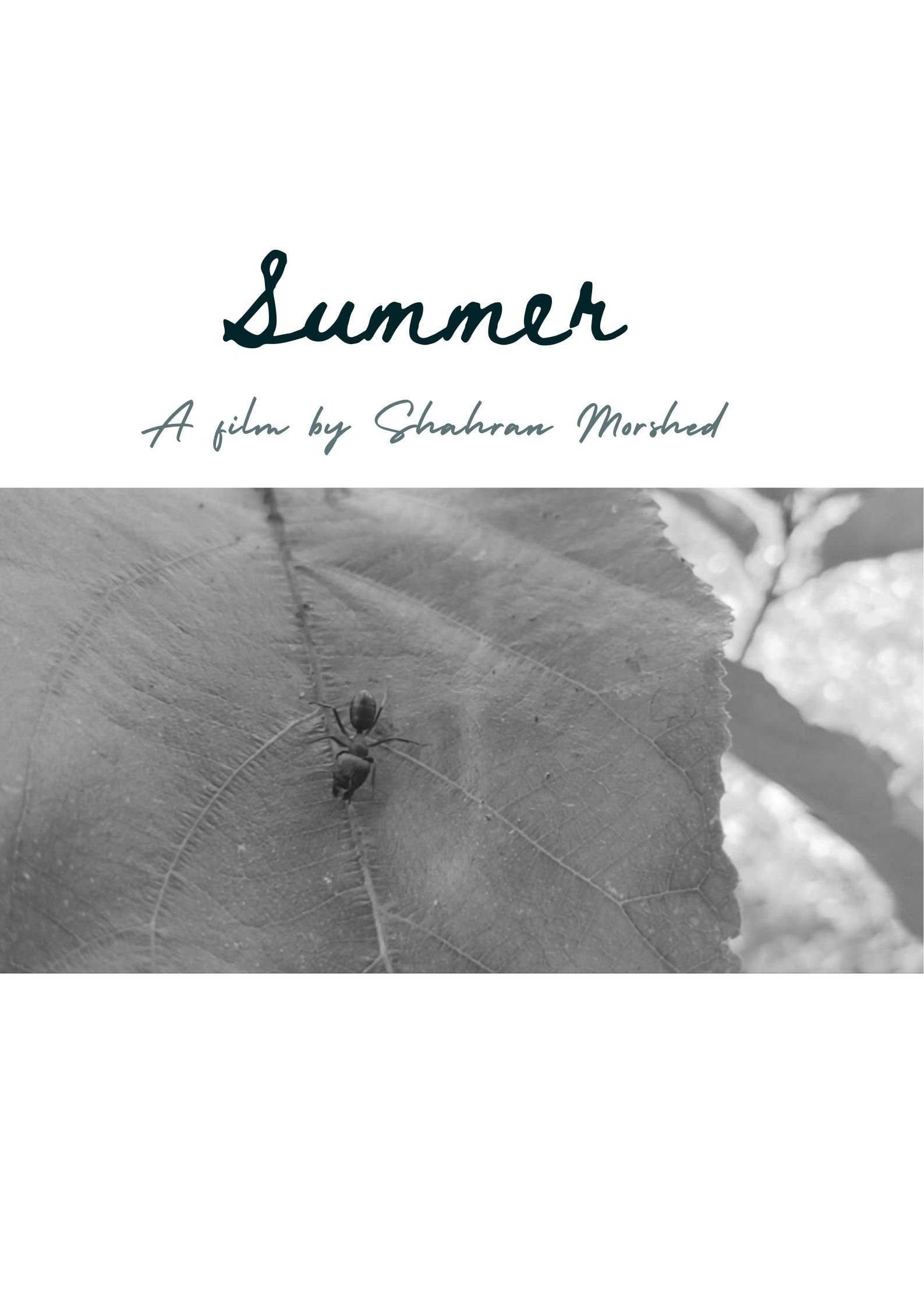 Poster de Summer
