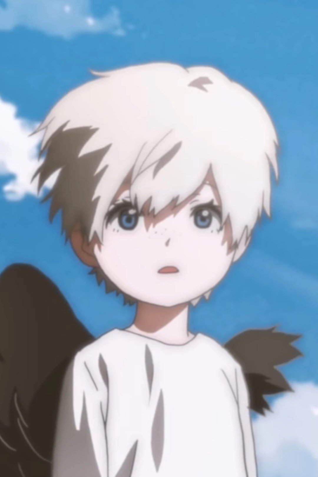 Poster de Wings