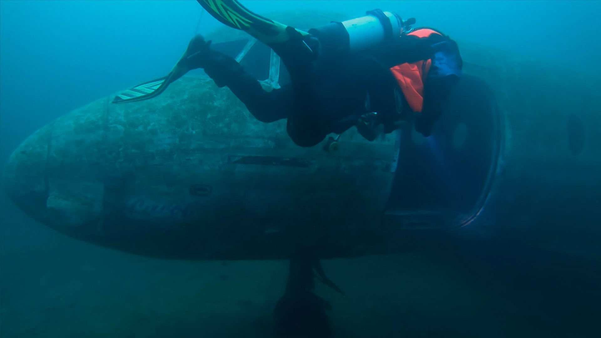 Irreplaceable Memories