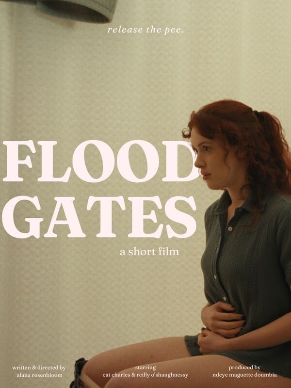Poster de Floodgates