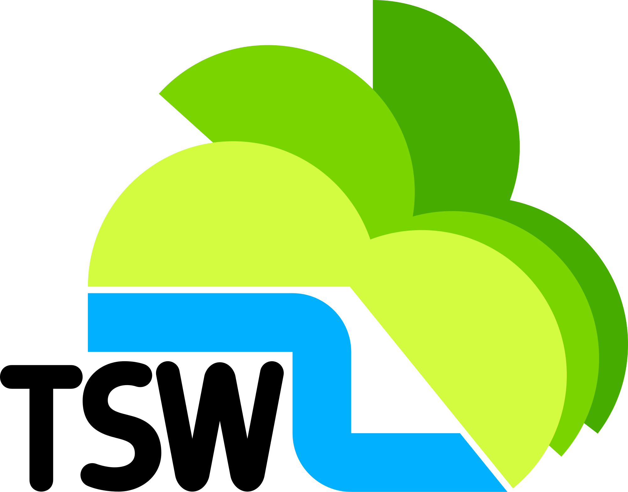 Television South West