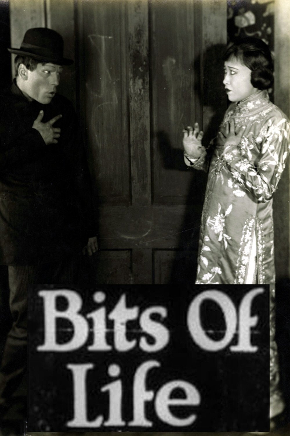 Poster de Bits of Life