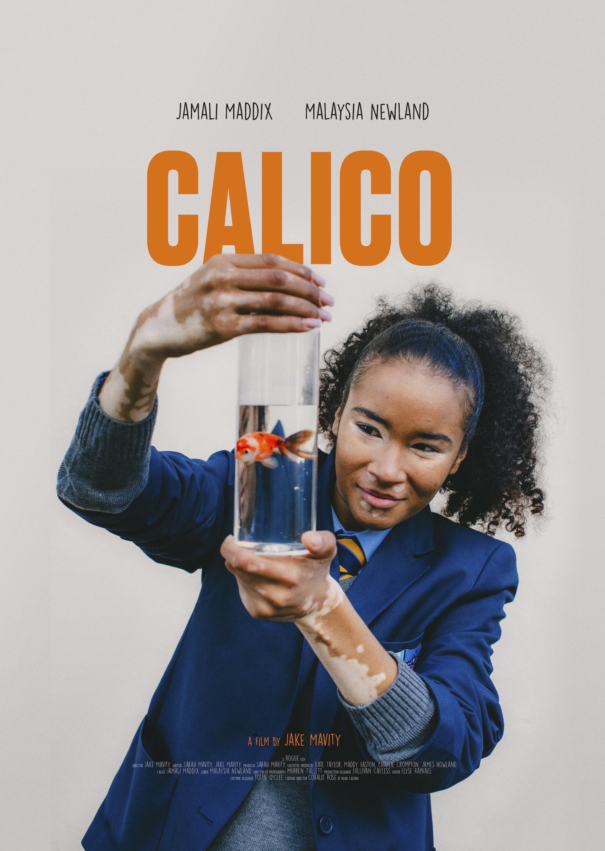 Poster de CALICO