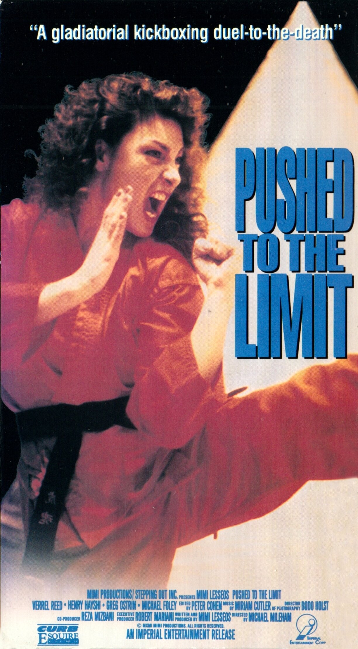 Poster de Pushed to the Limit