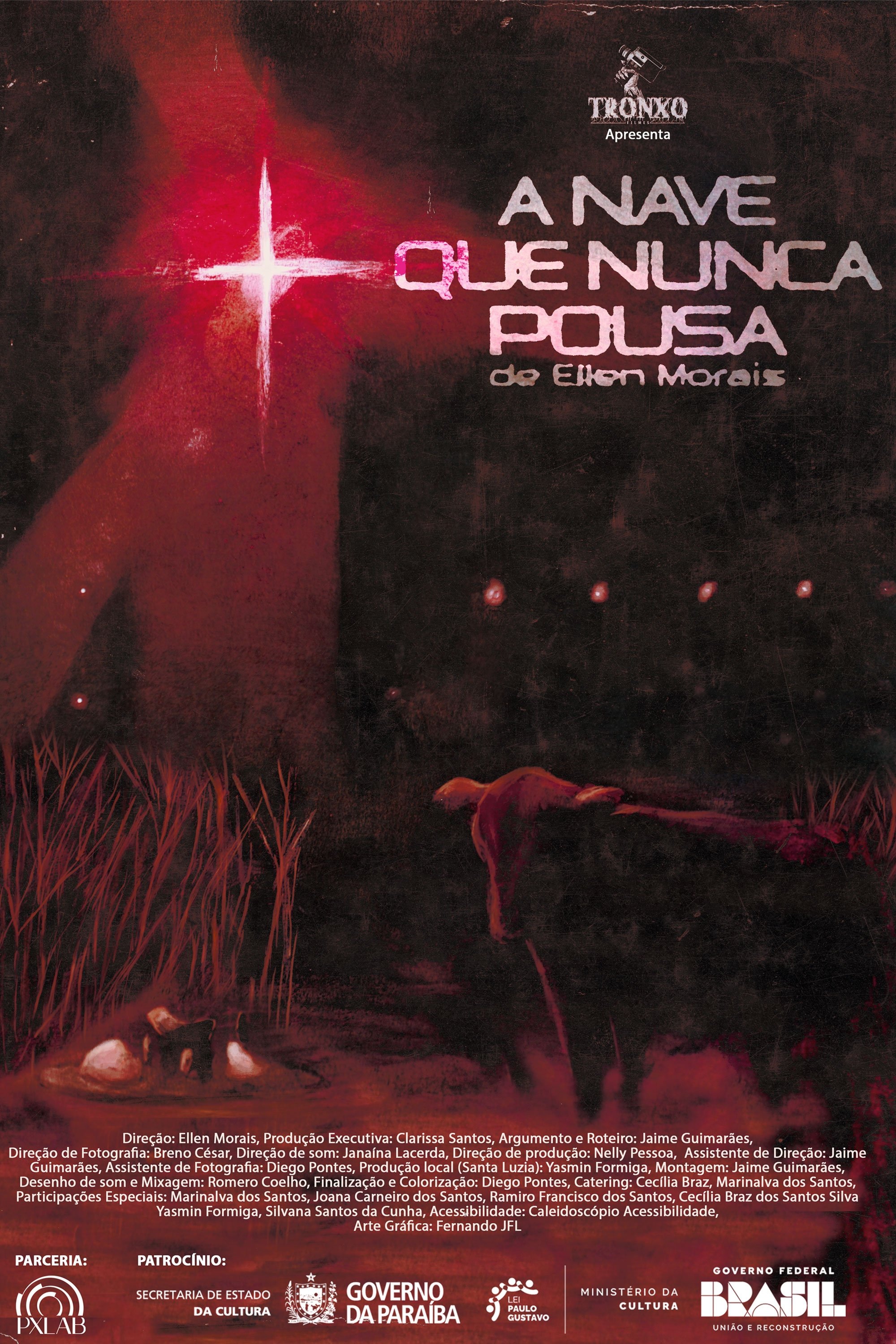 Poster de A Nave Que Nunca Pousa
