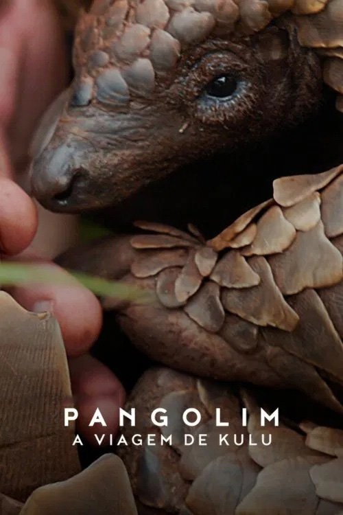 Poster de Pangolim: A Viagem de Kulu
