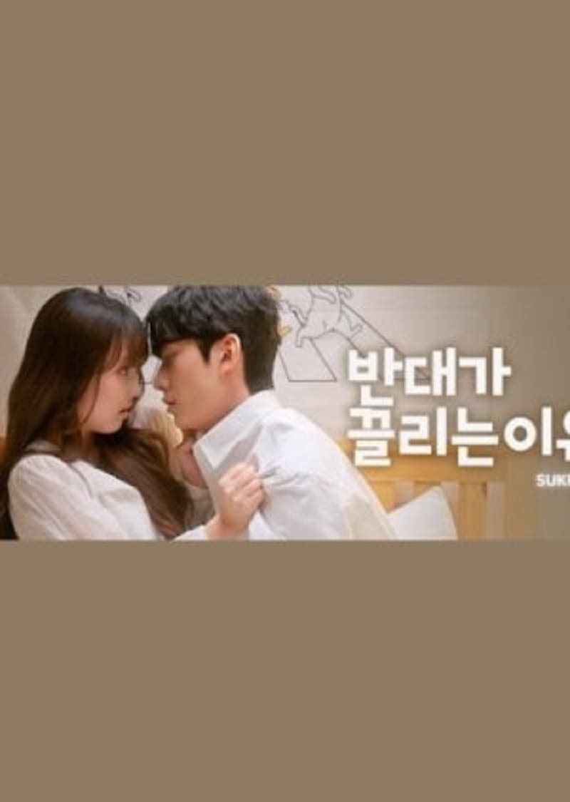 Poster de 반대가 끌리는 이유 시즌2