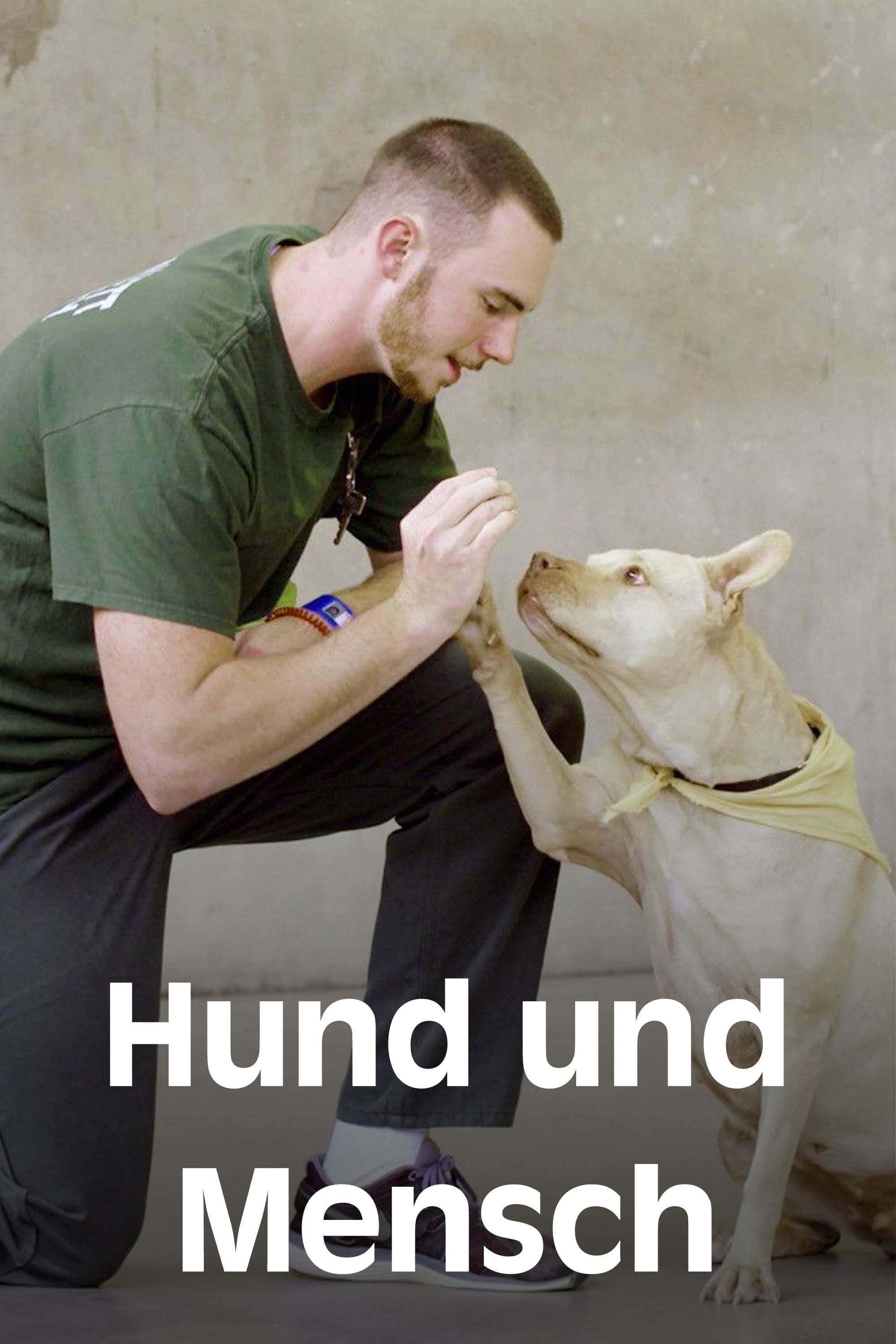 Poster de Hund und Mensch: Das Geheimnis einer Freundschaft