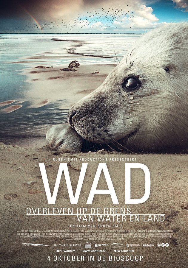 Poster de Wad: overleven op de grens van water en land