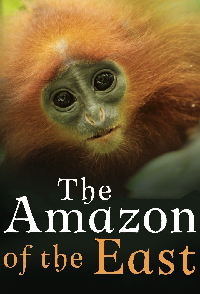 Poster de Kinabatangan: Der Amazonas des Ostens