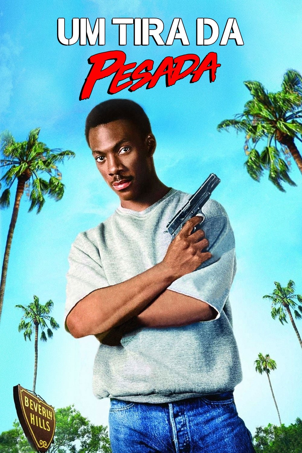 Poster de Um Tira da Pesada