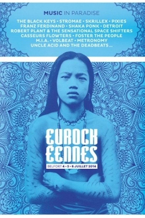 Poster de The Black Keys - Festival des Eurockéennes de Belfort 2014