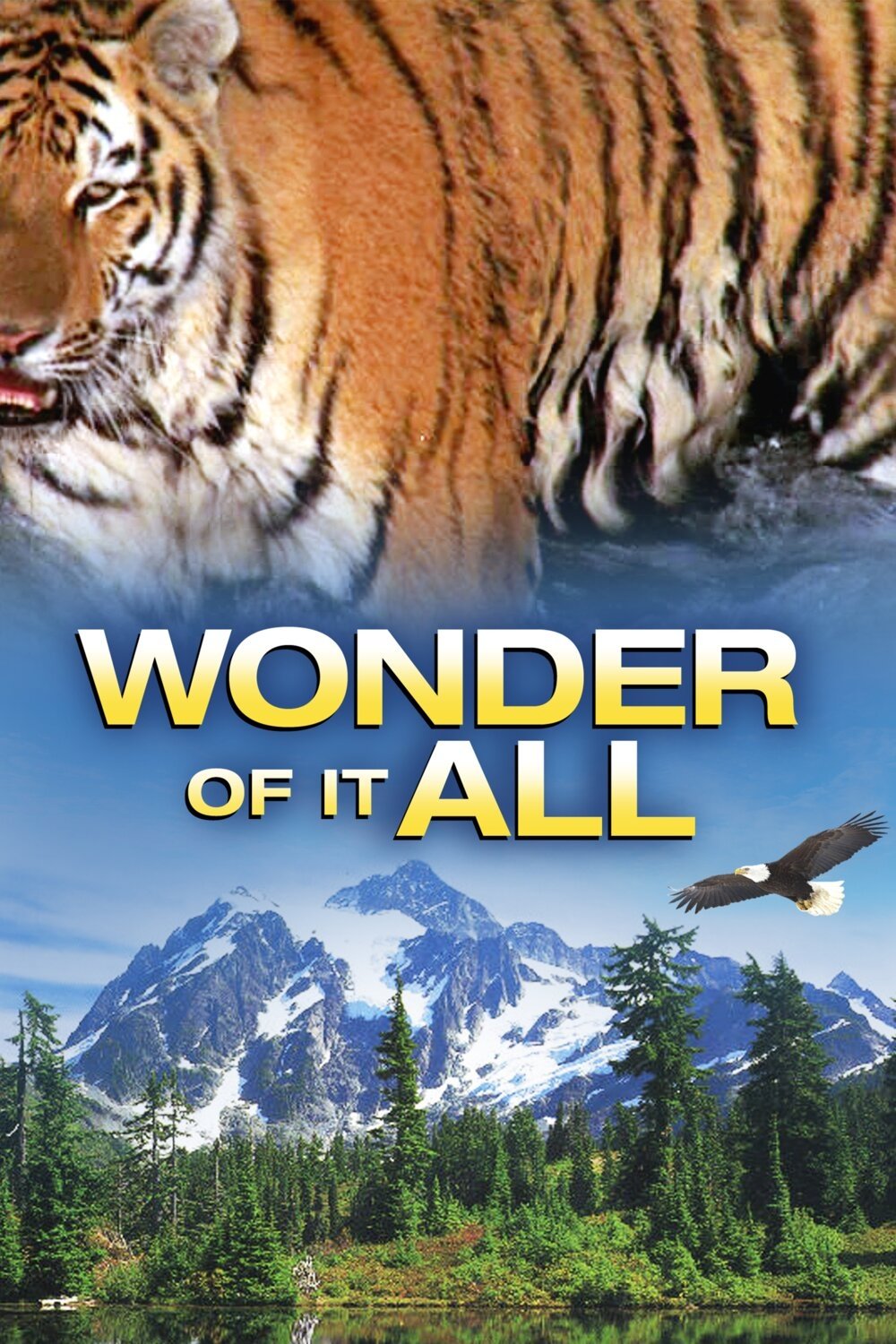 Poster de Wonder of It All