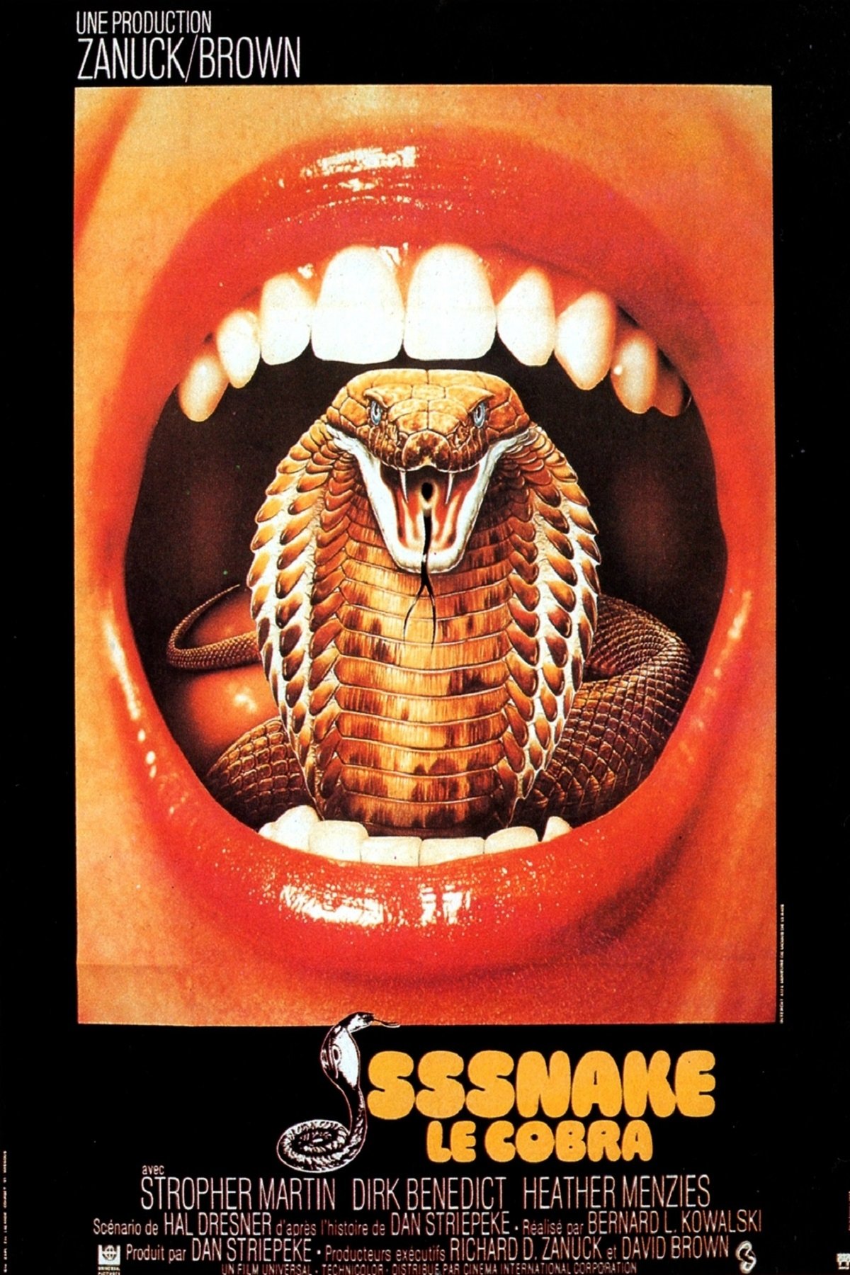 Affiche du film Sssssss