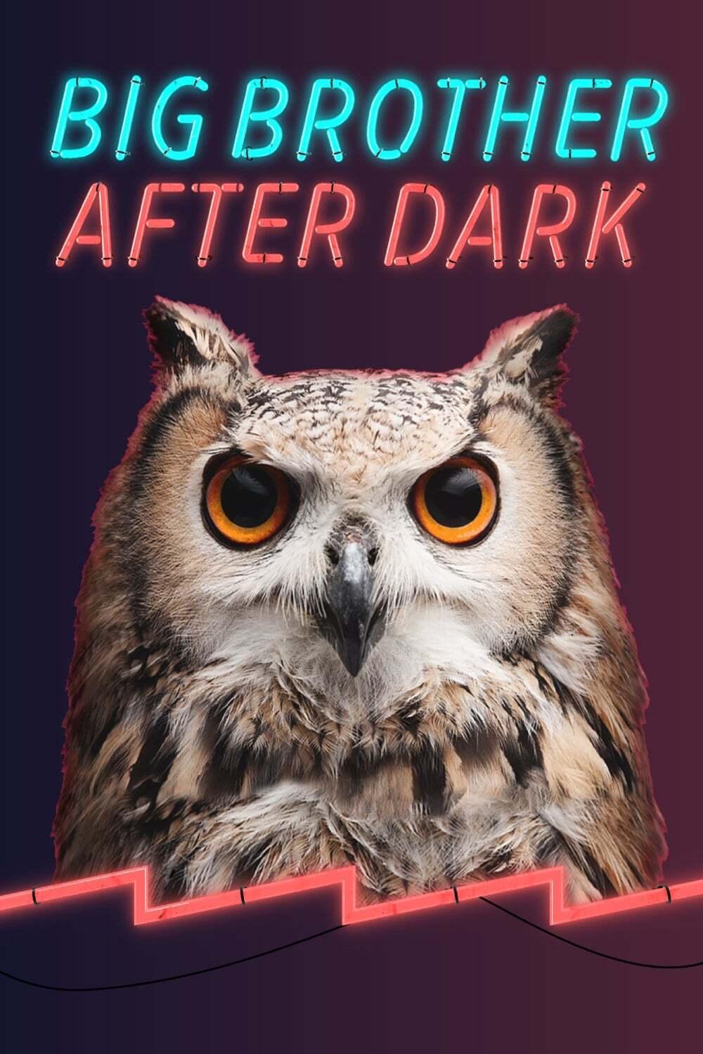 Poster de Big Brother: After Dark