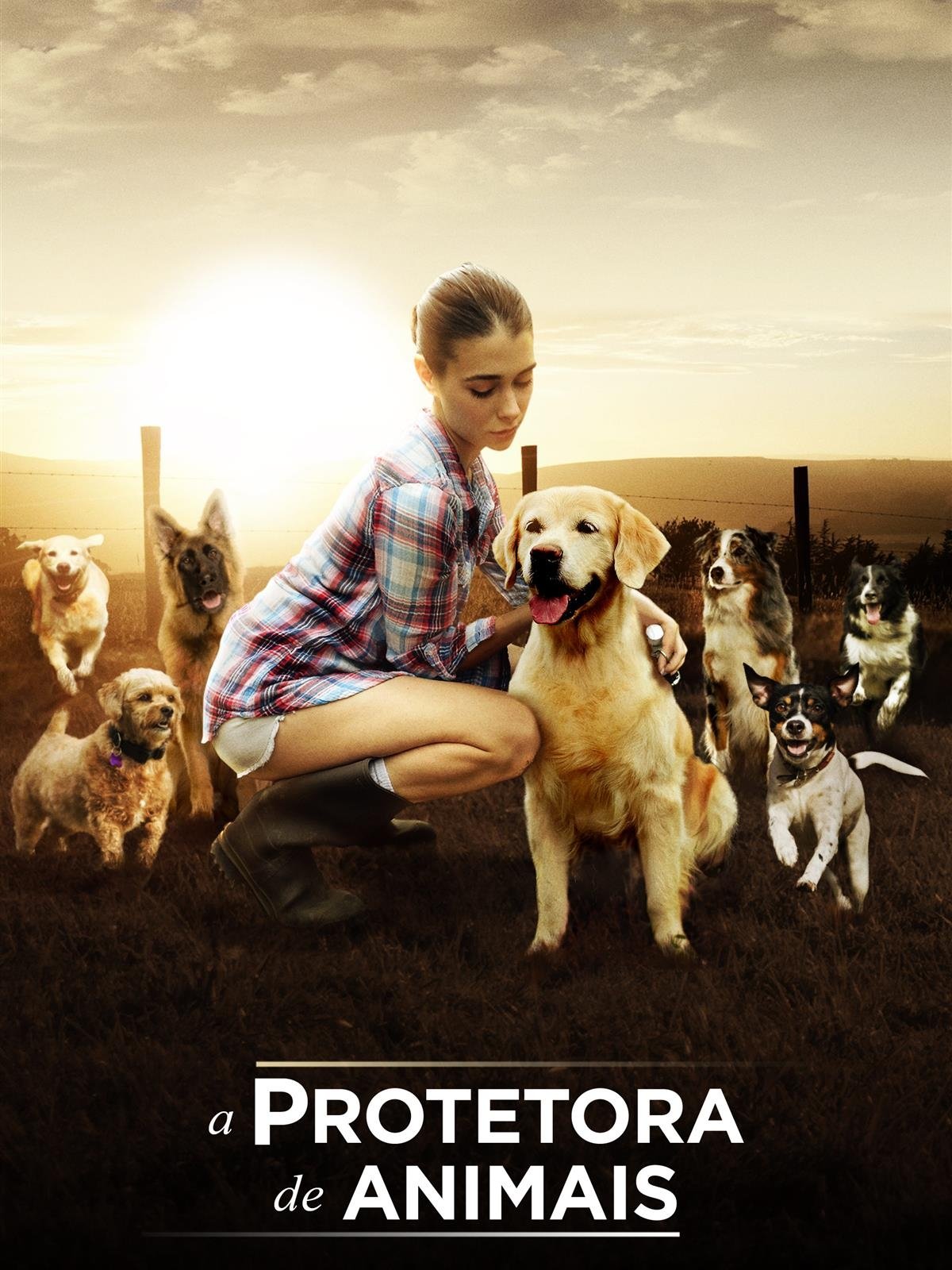 Poster de A Protetora de Animais