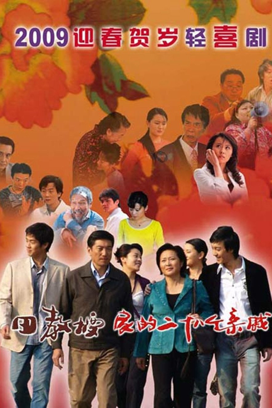 Poster de 田教授家的28个亲威