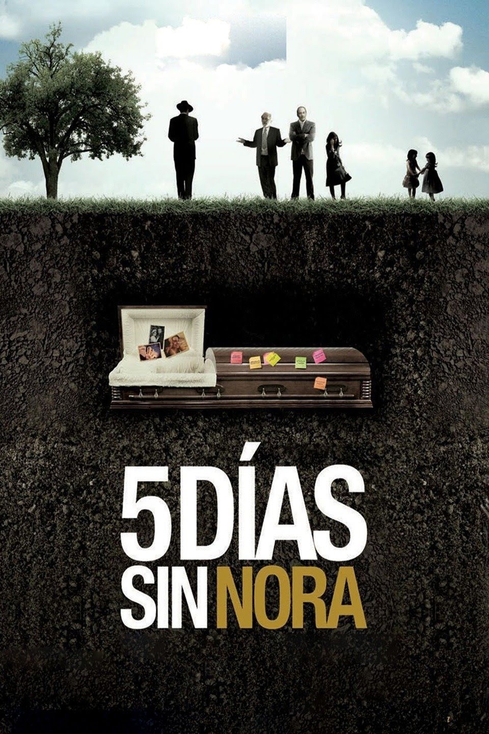 Poster de Cinco días sin Nora
