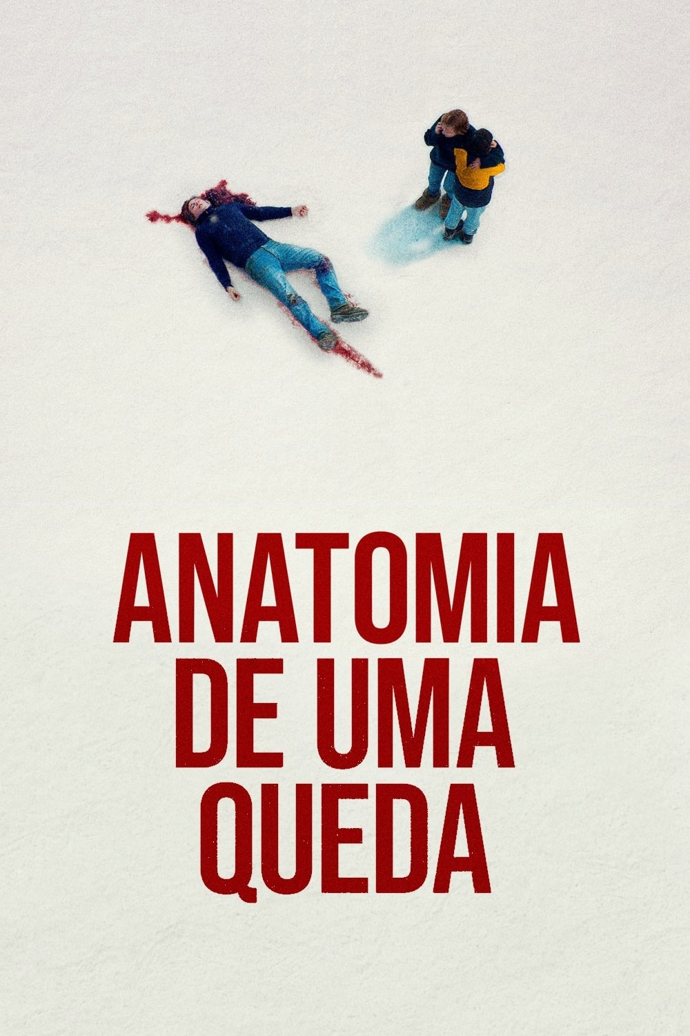 Poster de Anatomia de uma Queda