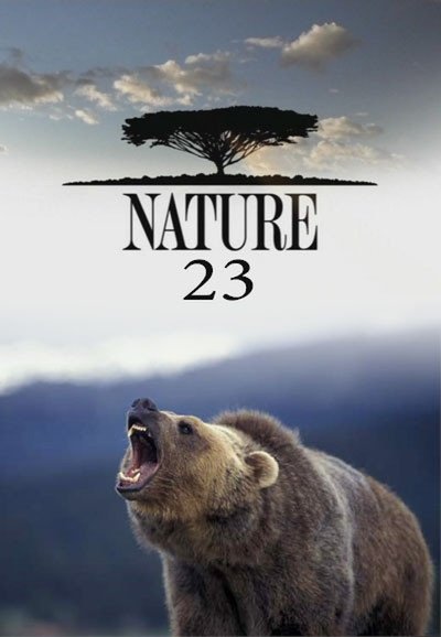 Poster de Temporada 23